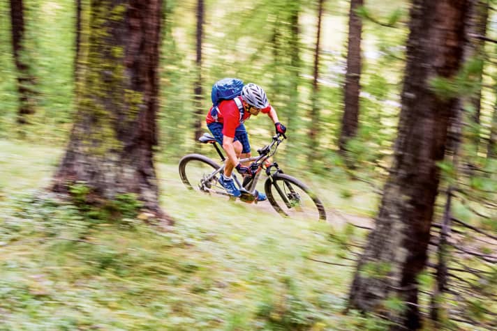   The affordable hardtails feel at home on flowing trails with little chatter from the ground. In hard mountain bike use, the limit range is narrow and comfort decreases.
