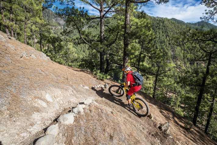   Controlled curve - image 2