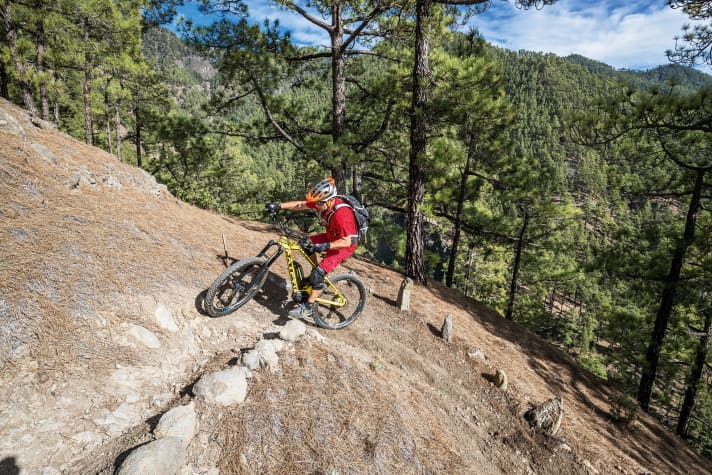   Controlled curve - image 3