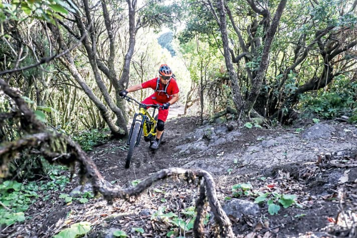   Powercurve - Image 1