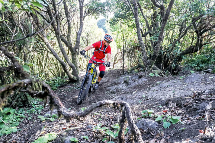   Powercurve - Image 2