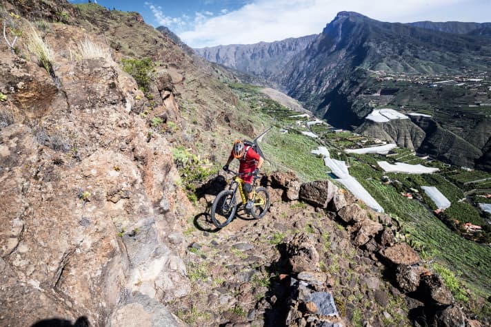   Frontswitch - picture 3