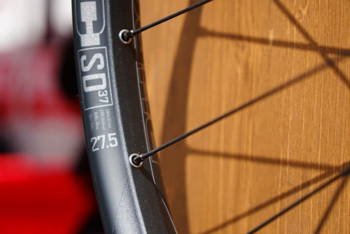   Die Sun Ringlé Düroc SD 37 fallen mit 31 Millimetern Innenbreite schmäler aus.