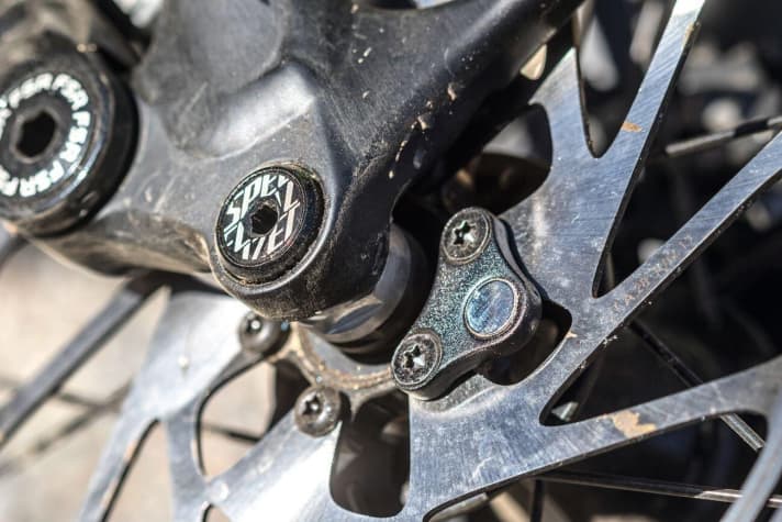   Liebe zum Detail: Der Speed-Sensor sitzt bei Specialized in der Kettenstrebe, der Magnet unauffällig und sicher an der Bremsscheibe, gut so!