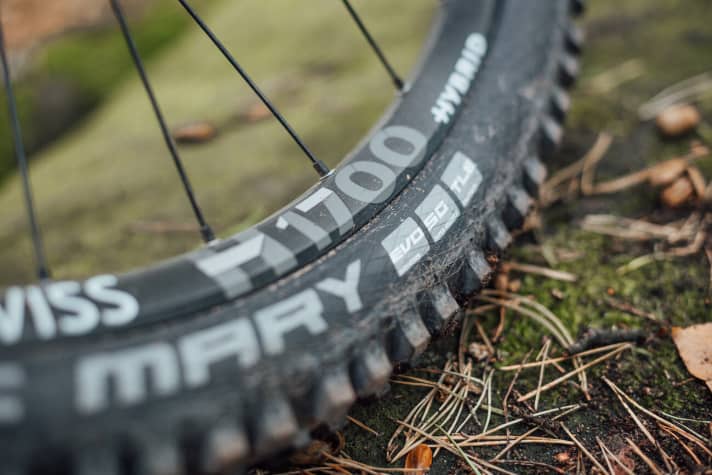   Exemplary: Radon relies on Schwalbe tyres with a solid super-gravity casing. The additional puncture protection is a good choice on an E-MTB of this calibre.