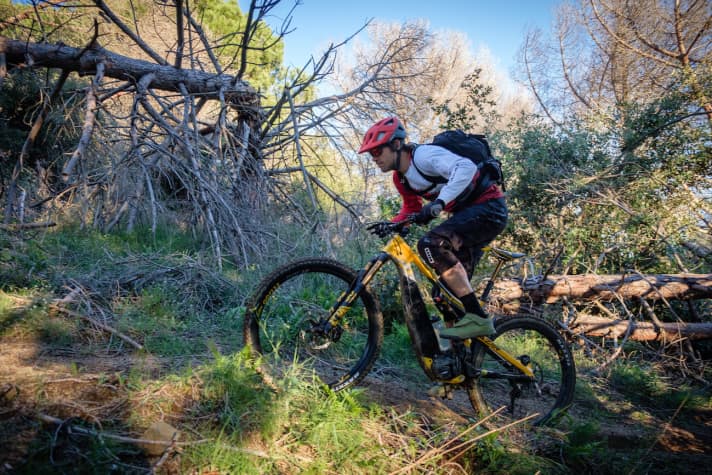   Steeper than it looks: The Tazer climbs with confidence, but its greatest strengths lie in descending.