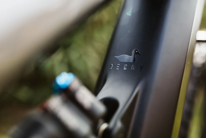   YT Decoy, the name says it all. The Forchheim-based shipper is hoping for a big catch.