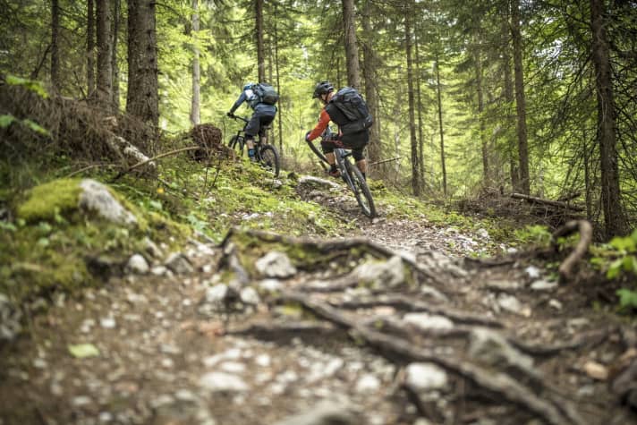   Setzt eine neue Benchmark in Sachen Dosierung und Kraftübertragung: der Bosch Performance CX im EMTB-Praxistest. 