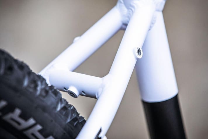   Gewindeösen: Viele Hardtails bieten eingelassene Rahmengewinde an den Sitzstreben, im Steg und an Ausfallenden. Nur daran finden Standardgepäckträger und -schutzbleche perfekten Halt.