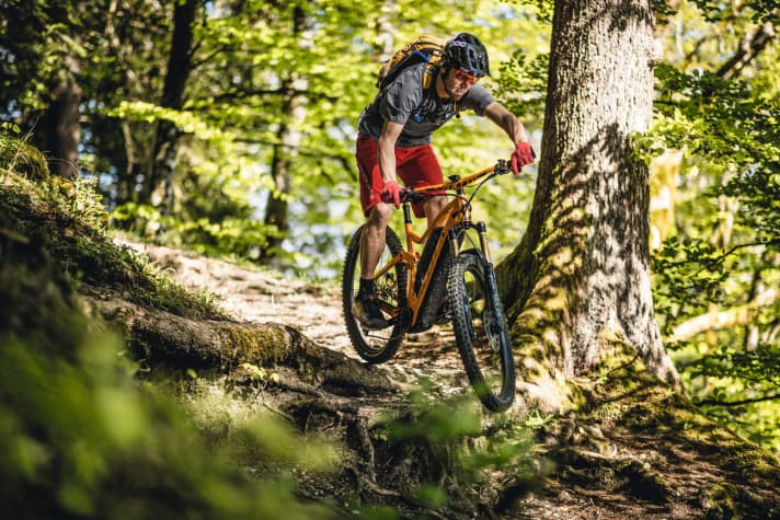   Potent, but not very playful. Like its aluminium counterpart, the carbon Genius is also very mature. You can read more about the practical test in EMTB 3/20 - now on newsstands and <a href="https://www.delius-klasing.de/digitale-zeitschriften" target="_blank" rel="noopener noreferrer">digital.</a>