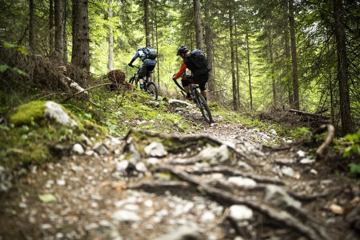   Steep passages, root fields, rocky steps: Anyone who enjoys technical uphill riding will be delighted with the new features of the Bosch Performance CX.