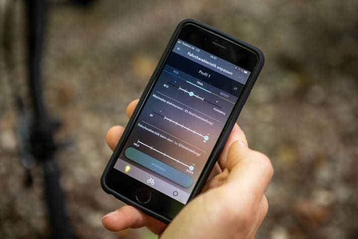   The adjustment range is widest in Trail mode. Five levels for assistance, eight for maximum torque.