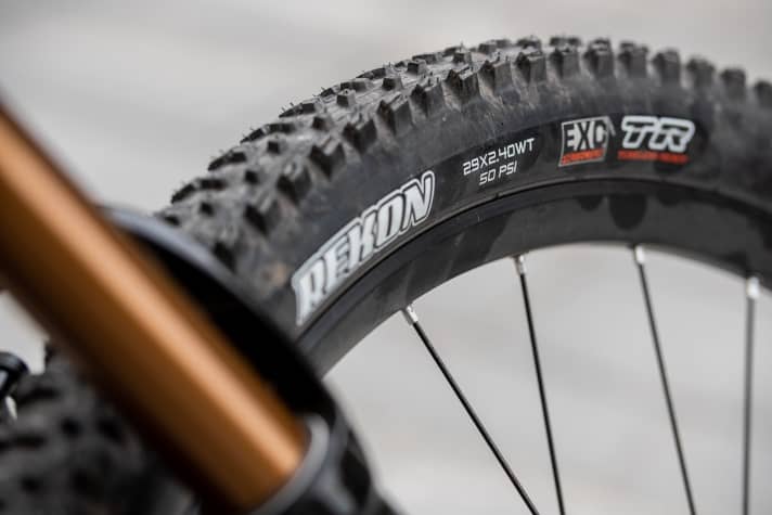  With its 150 millimetres of travel, the Mountain Cross is the tamest E-MTB fully in the range. This probably also explains the cautious choice of tyres. A Maxxis Rekon tyre offers only moderate grip and traction in tougher terrain.