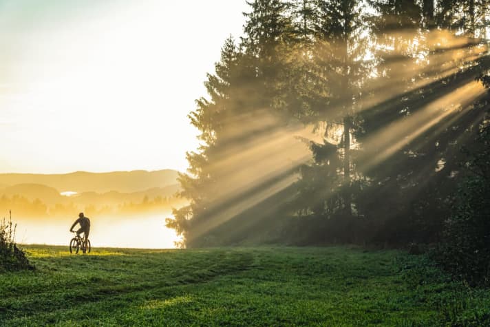 Böhmisches Dorf: Für viele Biker dürfte das tschechische Lipno wohl das unbekannteste Top-Revier sein.