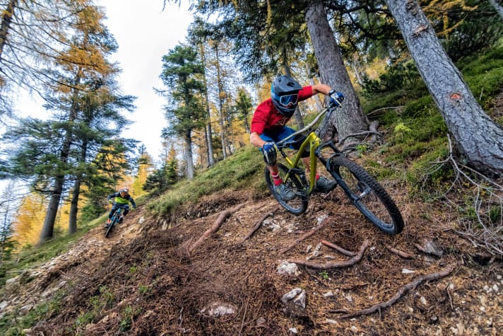   Steep, rooty and beautifully long: the Thriller descent.