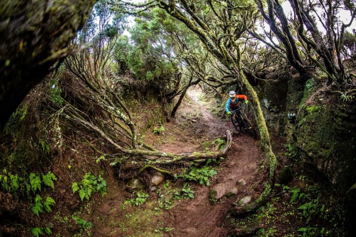   We have already been able to test the Torque. There will be a ride report in the next issue of FREERIDE. On newsstands from 8 March.