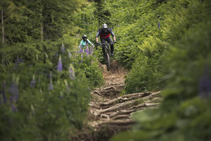   Bikepark Schladming, Dachstein