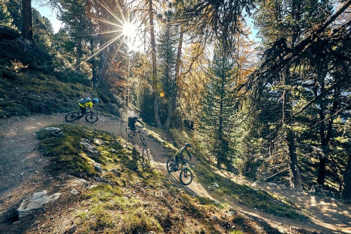   Serfaus-Fiss-Ladis Bike Park: Zirbentrail