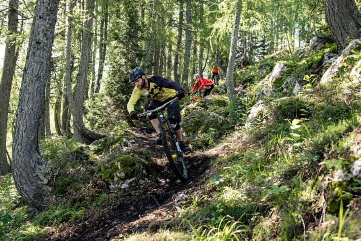   MTB-Zone Bikepark Petzen