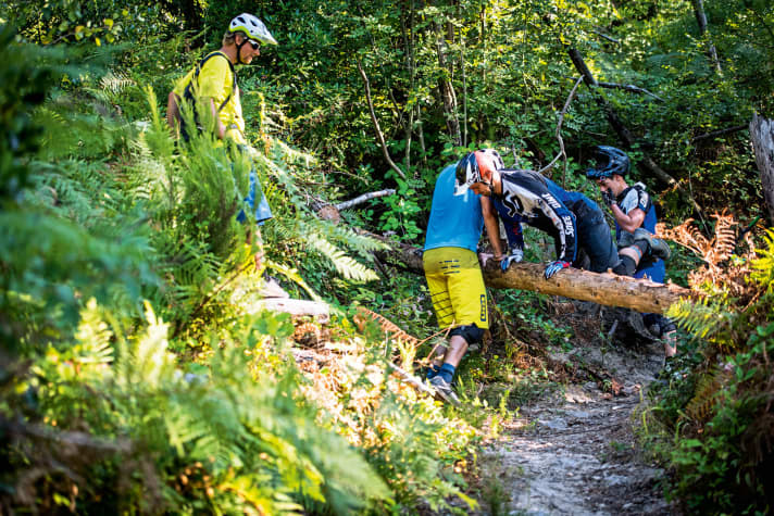   Teamarbeit: Trailpflege 