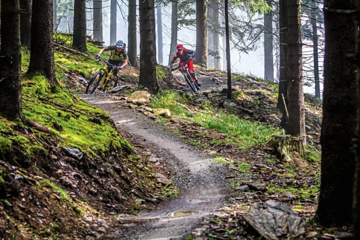   The trails on the Klínovec wind their way through dense spruce forest. There is not much time for panoramic views on the rollercoaster trails anyway.    