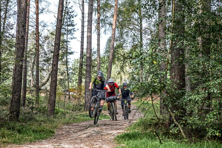   In den Harburger Bergen und der Fischbeker Heide existieren so viele Pfade, dass selbst erfahrene Locals wie Matthias nicht alle kennen.
