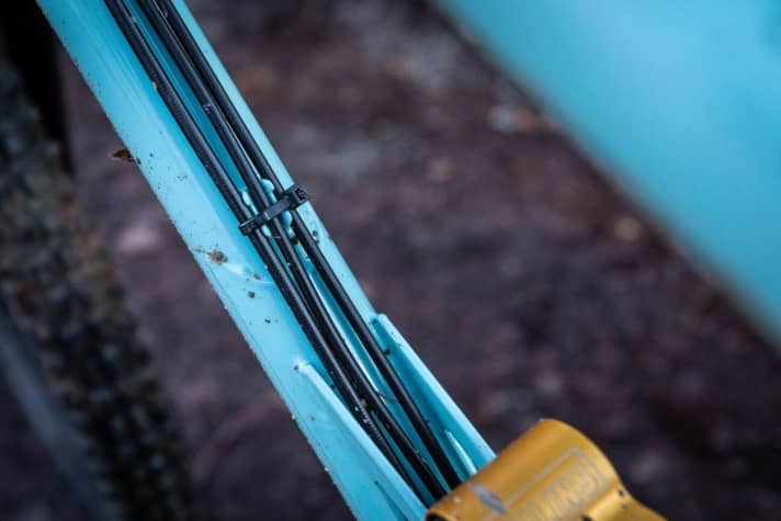 Externally routed cables are obligatory and emphasise the carefree claim of the Starling.