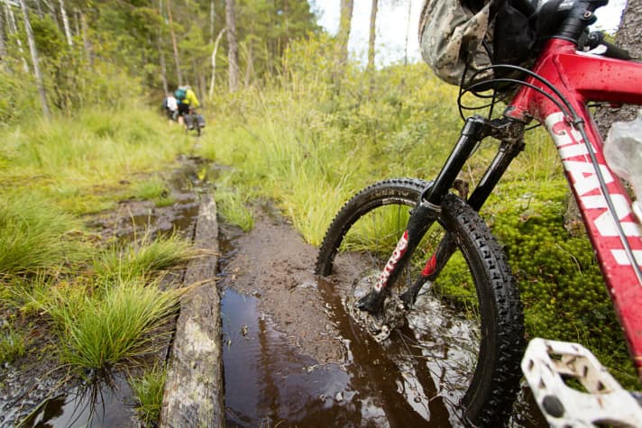   Slipping off the partly rotten planks once is fun. But after the fifth time, the fun is over.
