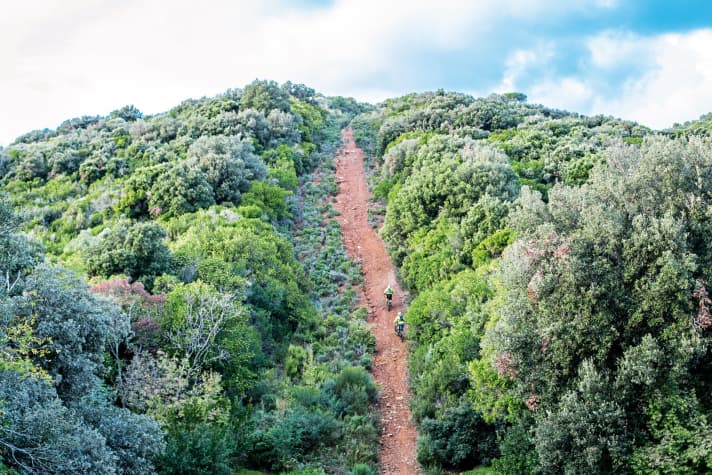   One thing is clear: these firebreaks, which run straight through the hills of Tuscany, can at best be pushed with normal bikes. And even in turbo mode, we struggle here. No chance without top riding technique.