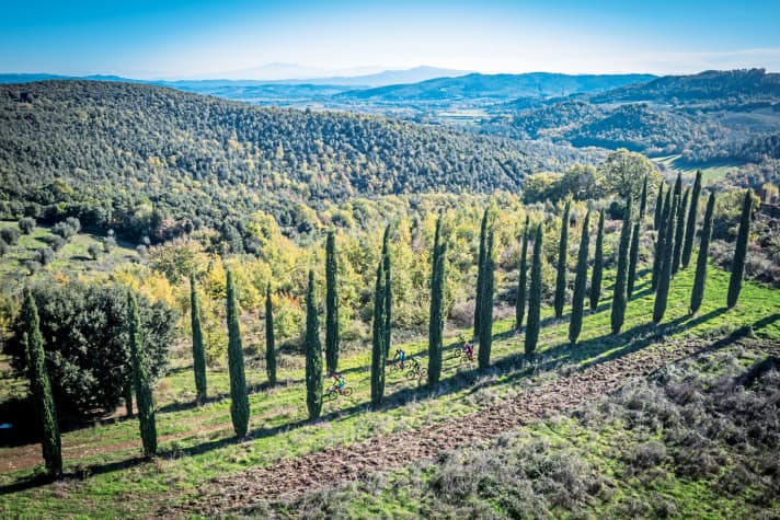   Abwechslung von den toskanischen Waldtunnel-Trails: Von diesem Zypressen-Trail oberhalb des Lago di Accesa blickt man tief in die toskanische Hügellandschaft.