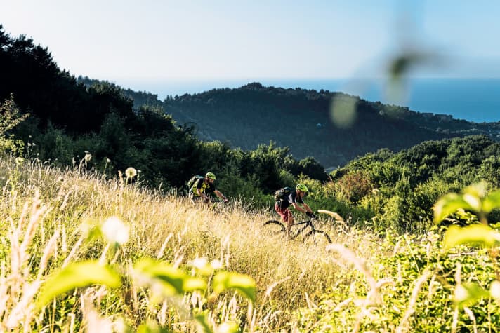   Endlich ein Trail im Küre-Nationalpark!