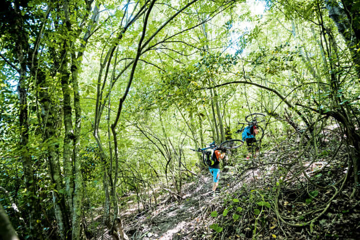   Die Wege waren da...