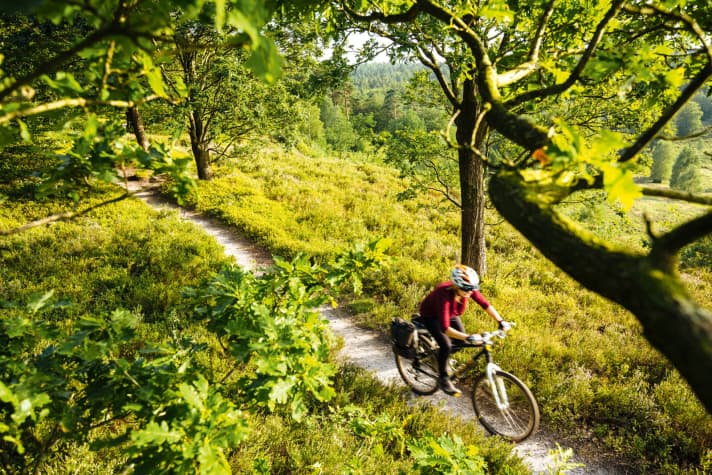   The lonely expanse is so close: the Lüneburg Heath surprises the young bike family from Poland with fine trail terrain.