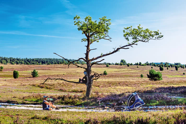   Das Wegenetz um Overharbeck führt abwechslungsreich durch weite Heide und duftende Wälder. 