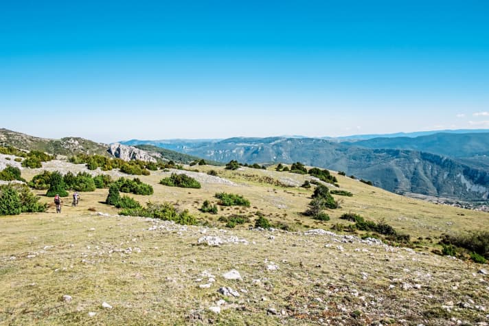   It doesn't look like a path, but it is one: 75 metre wide tracks have been created across the mountains for the huge herds of sheep. A well-trodden track can often be recognised in them.
