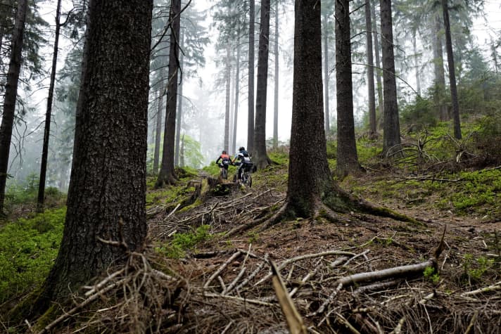   The constant succession of poisonous short climbs ignites a veritable lactate inferno in the thighs.
