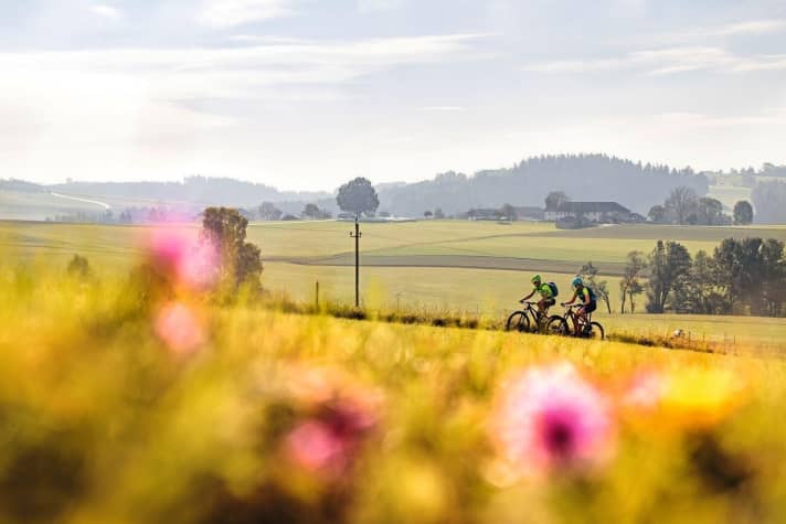   Anyone who has completed the large loop around Granitland is a connoisseur of the region. However, the tour across the meadows and fields of the Mühlviertel should not be underestimated.
