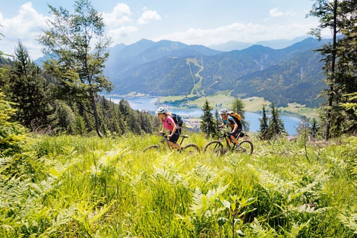   Above: The mountains around the lake are only 1600 metres high on average, and the lake is already 930 metres above sea level. So the climbs are not long - but they do drag on.