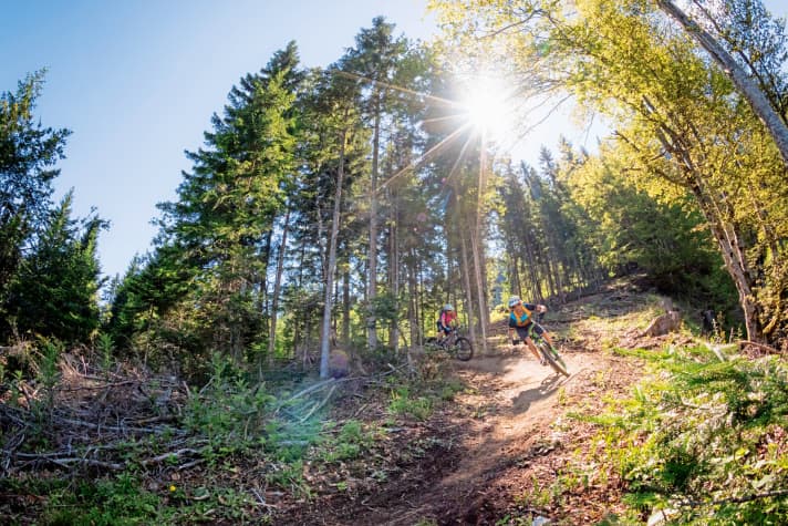   In addition to the first trail, which was completed in spring 2017, two more descents have been added at Lake Weissensee.