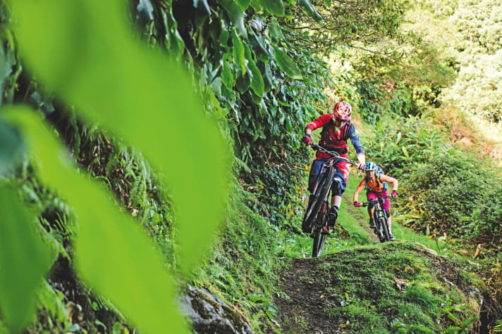   Dschungel-Flow: oben noch offene Achterbahn, unten bald dichter, grüner Tunnel mit Überraschungen. 