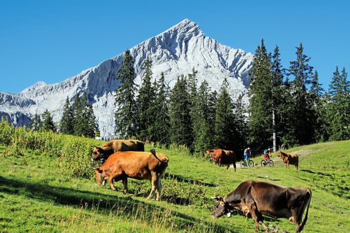   Actually much more beautiful than the chunky Zugspitze: the 2628 metre high Alpspitze.