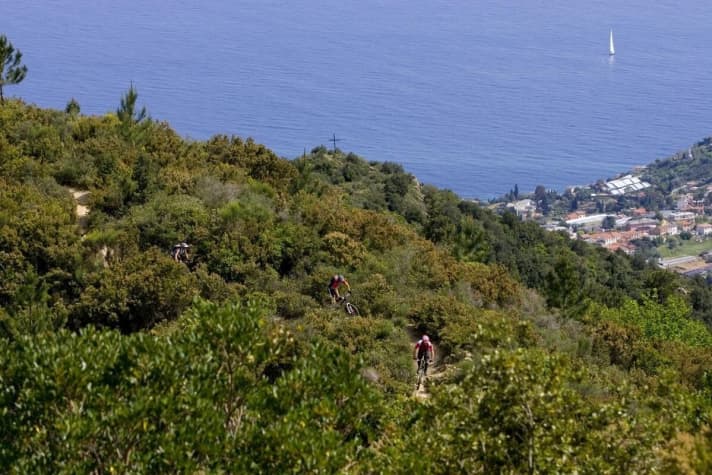   The maquis gives and takes: The trails around San Remo are quickly overgrown again.