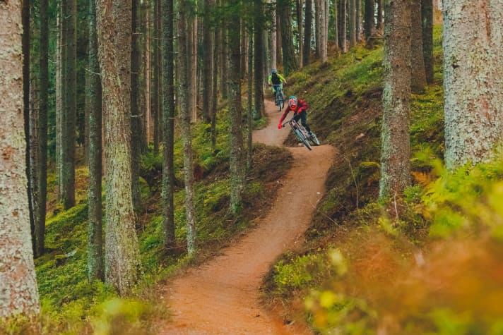   Brand new in Innsbruck: "The Chainless One" trail on the Muttereralm.