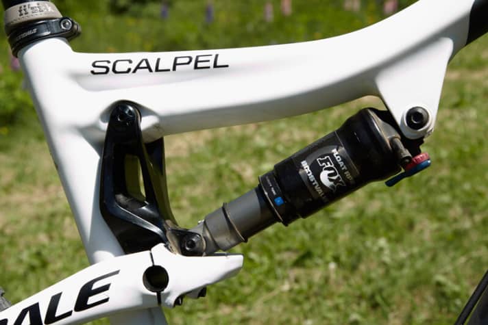   Beide Lagerstellen des Hinterbaus besitzen 15-Millimeter-Hohlachsen. Durch die Klemmung auf der Achse und nicht am Lager, werden  beide Seite verwindungssteif miteinander verbunden. Die Wippe besteht aus Schmiede-Alu.