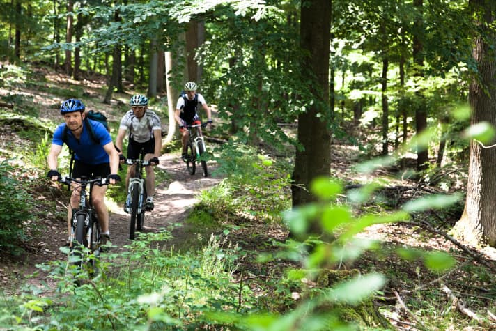   In the Palatinate Forest, mountain bikers and hikers use the paths and trails together.