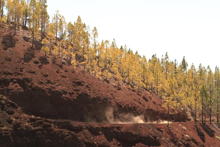   A bus takes you to the old volcanic crater on Tenerife. This saves 2000 metres in altitude and leaves enough energy for the descent.