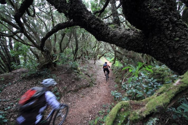   Descend below the tree line: on the eternally long descents you experience temperature differences of 20 degrees.