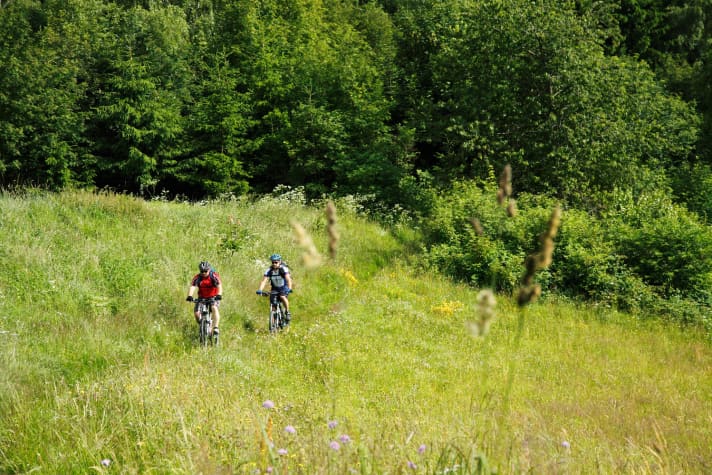   Oft verstecken sich die Wege im Wald, aber nicht immer.