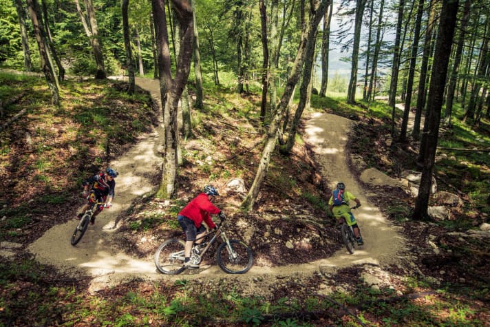   A cosy forest surrounds the Flow Country Trail and conceals the adrenaline rollercoaster for mountain bikers.