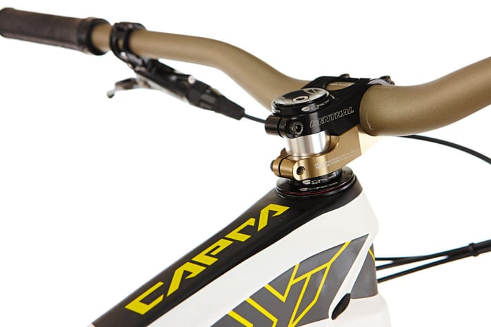   Short stem (40 mm), wide handlebars (780 mm): YT's equipment focusses on good downhill suitability.